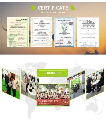 Freeze Dried Mango Powder