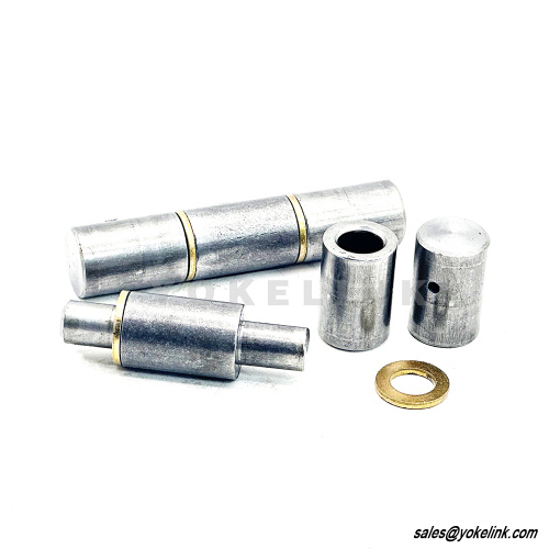 Επίπεδη κορυφή μεντεσέδες Πύλη Πύλη Πόρτα με άρθρωση για μεταλλική πόρτα ταλάντευσης