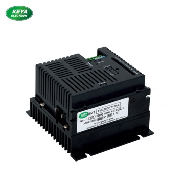 tersine çevrilebilir 110 v 220 v fırçalanmış motor hız kontrolü 10A