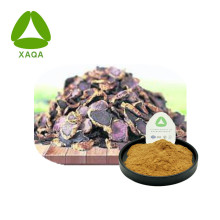 Black Ginger Root Extract Powder
