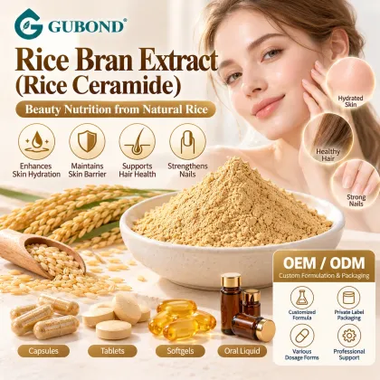 Rice Ceramide 0.5%–2% from Rice Bran Extract