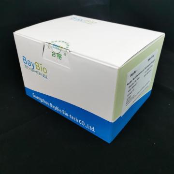 Purify DNA RNA Nucleic Acid Fast Extraction Kit
