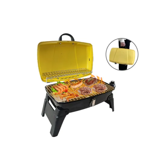 Outdoor Foldable Meat Bbq Grills Charcoal Barbecue Portable Grill