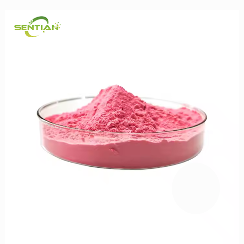 High Quality Strawberry Powder Extract