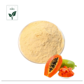 Fruit & Vegetable powder of Natural Papaya Powder