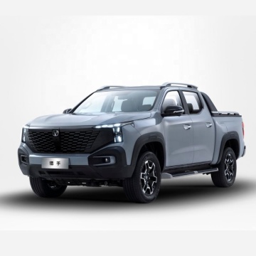 2024 China Adults New Energy Vehicle: Small Electric Trucks and EV Cargo Pickup Trucks