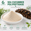 Polipeptidasa de pepino de mar Producción de péptidos de pepino de mar