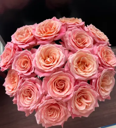 Miss Piggy Rose Single-Headed Flower for Special Occasions