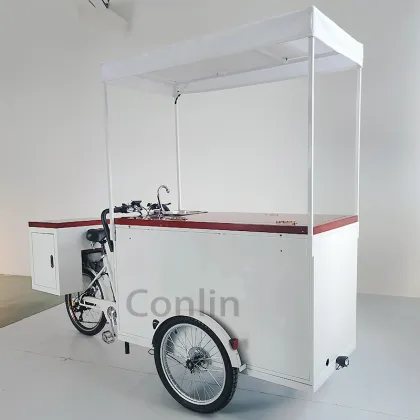 Electric Bike for Cold Pressed Juice and Ice Cream Vendors