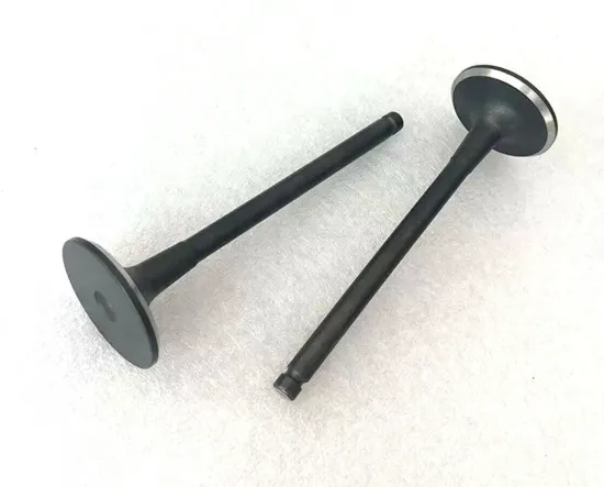 Black Chrome Silicon Steel Motor Vehicle Valve for Fiat and Iveco - 504069199