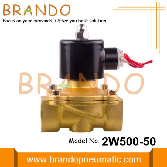 2W500-50 2 Inch Water Solenoid Valve 24V 220V