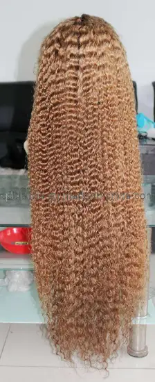 100% Human Hair Lace Wigs or Hair Packaging Box (EM076)