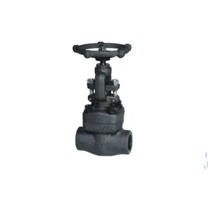 Forged Steel Gate Globe Check Valve