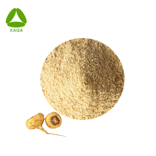 Organic Raw Material Maca Root Extract 10:1 Powder