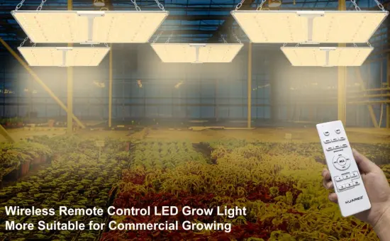 New 200Watt Square Hydroponic LED Grow Light