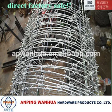 Anping Wanhua--Anti-theft Barbed Wire Mesh SGS