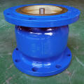 Vertical Check Valve DN25-DN300 Vertical check valve Supplier