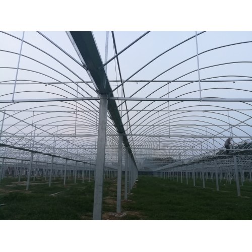 Multi Span Arch Frame Structure