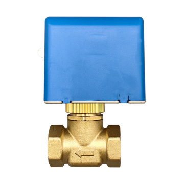 Electric Brass Globe Valves DN15-DN32 2-Wire AC 220V