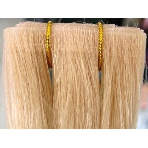 Remy Human PU/Skin Hair Weft