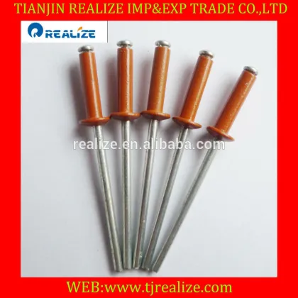 Good factory China fasteners beige color blind rivets