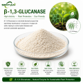 β-1,3-Glucanase for Pathogen Cell Wall Degradation