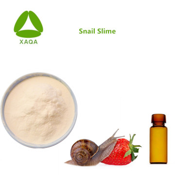 Hudvård Anti-Wrinkle Materials Snail Slime Extract Powder