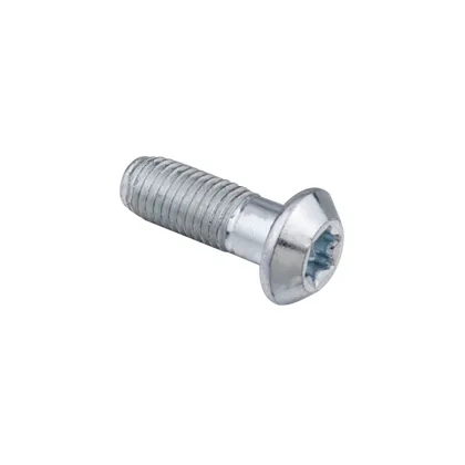 DIN Standard S12*30 Self-Tapping Screw with Trox Socket