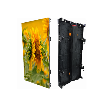 PH3.91 Curved LED Display mit 500x1000 mm Gehäuse
