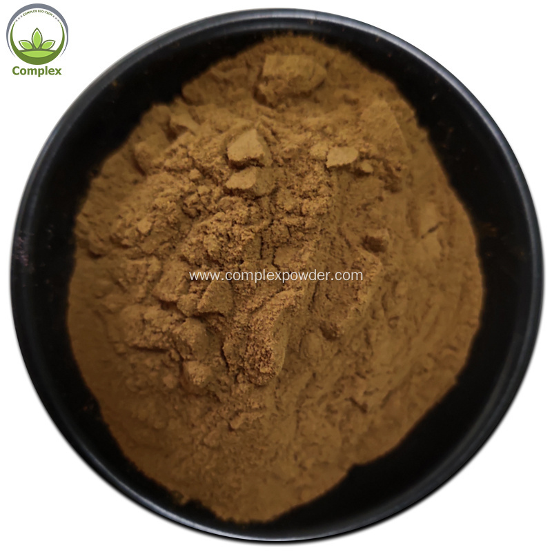 Supply Low PriceOrganic Powder Reishi Mushroom Extract