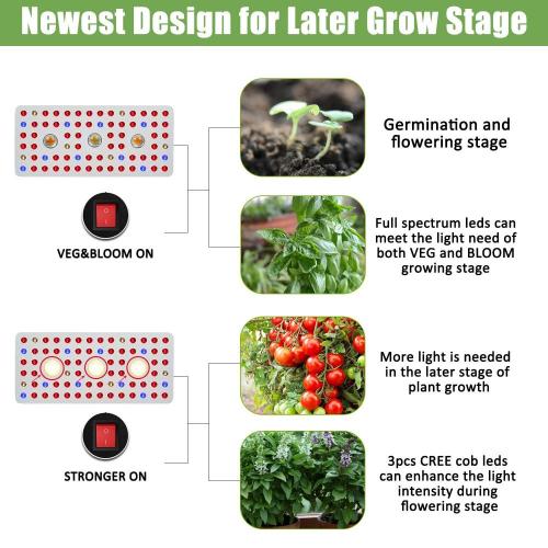 Phlizon Nueva lámpara de cultivo LED COB