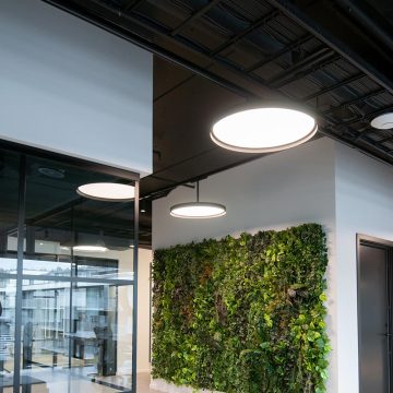 3-Wire and 2-Wire LED Track Light Systems: Surface-Mounted LED Spotlights and Rails
