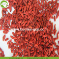 Dostawa fabryczna Owoce suszone 150 180 Goji Berry