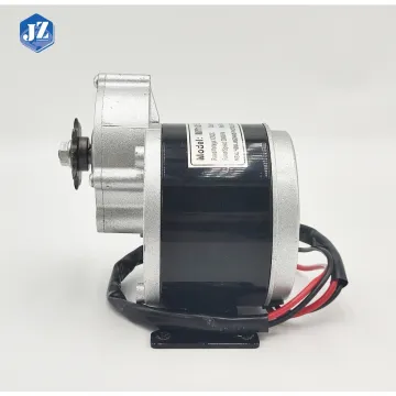 Customized MY1016Z2 250W 12V DC Geared Motor for LEV