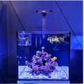 Nieuw ontwerp High Power WiFi Marine Aquarium Lights