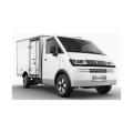 D08 low cargo van electric vehicle