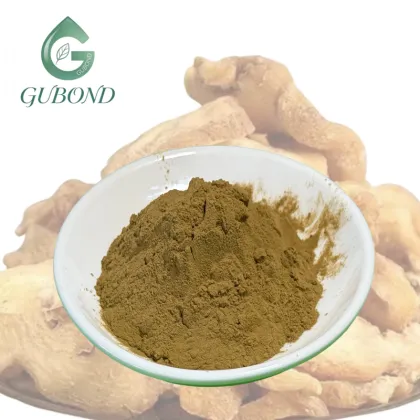 Polygonatum Extract Powder for Dietary Supplements