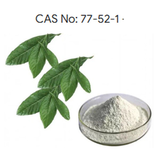 Ursolic Acid Powder Natural Plant Extracts CAS 77-52-1