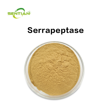 Serrapeptase Capsules for Inflammation & Mucus Support