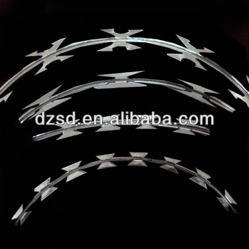 Top quality concertina razor barbed wire fence