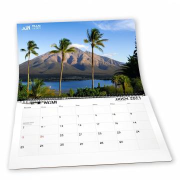 Calendario de pared promocional de impresión personalizado 2025 Regalo de negocios