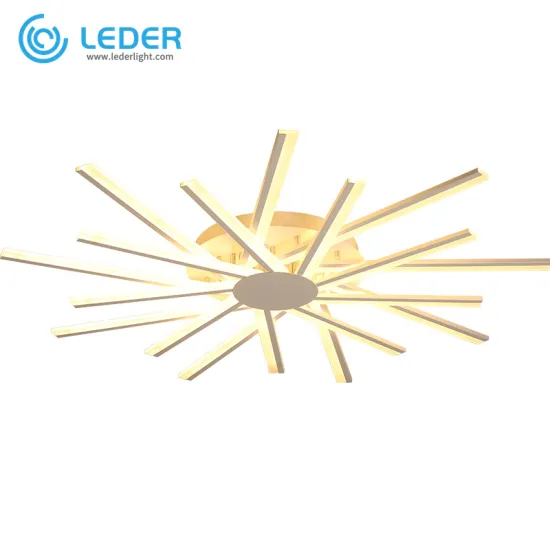 LEDER Interior Flush Ceiling Lighting