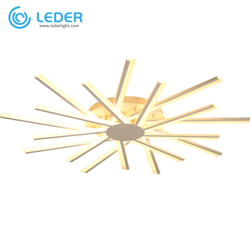 LEDER Interior Flush Ceiling Lighting