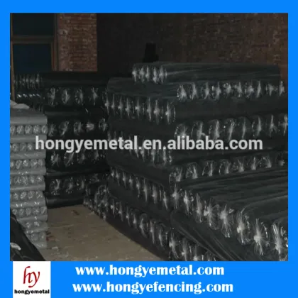 anti-theft window screen