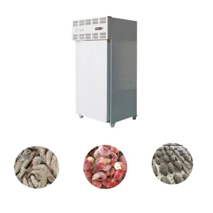 High-Capacity HIRON Blast Chest Freezer at a Great Price