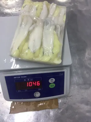 frozen argentina illex squid roe