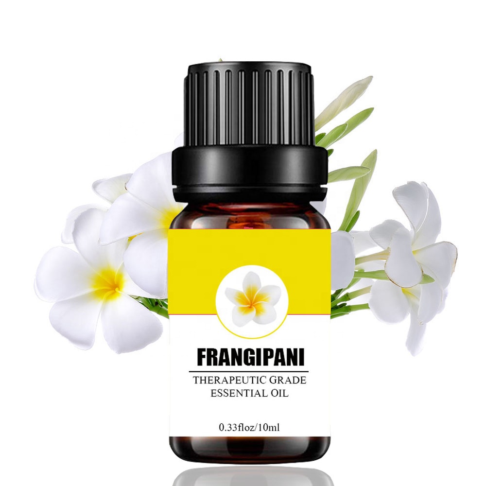 100 ٪ روغن ضروری Frangipani خالص و طبیعی