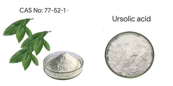 Ursolic Acid for sale