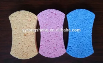 bath Sponge