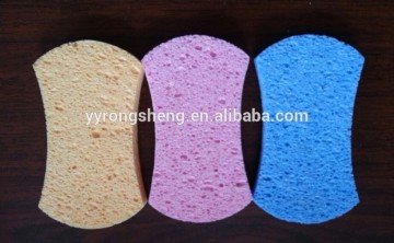 bath Sponge